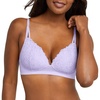Misty Lilac